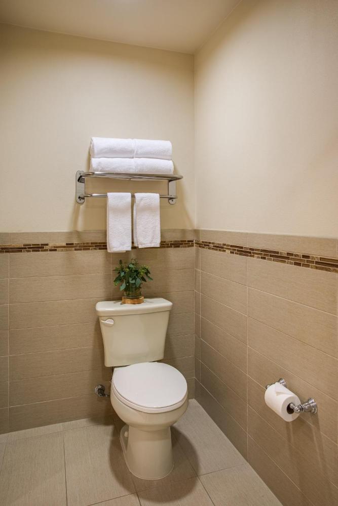 Corner Studio Suite interior